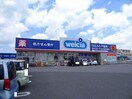 ウェルシアまで1000m ベルハウス