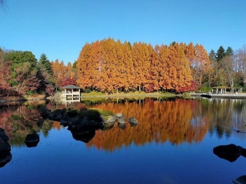 栃木県中央公園まで210m レジデンスパーク鶴田