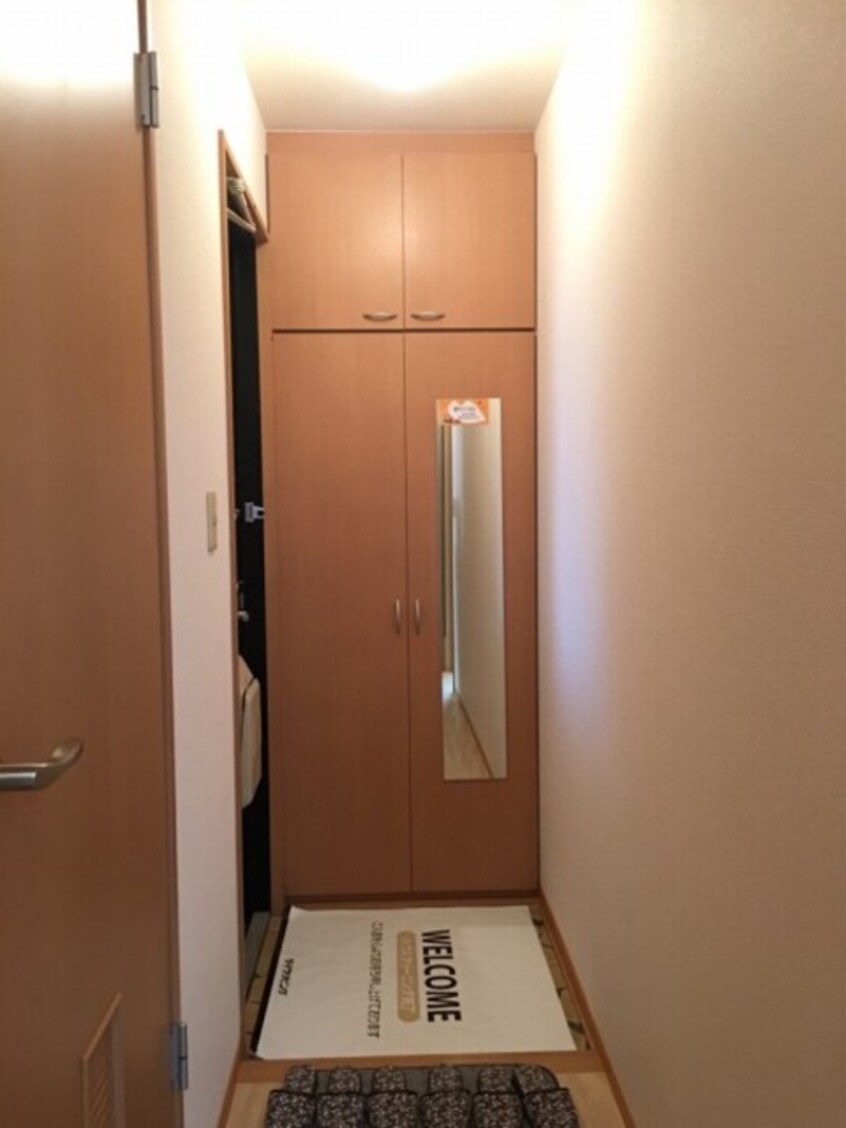 鏡付き・トールサイズのシューズボックス エルピス Ａ