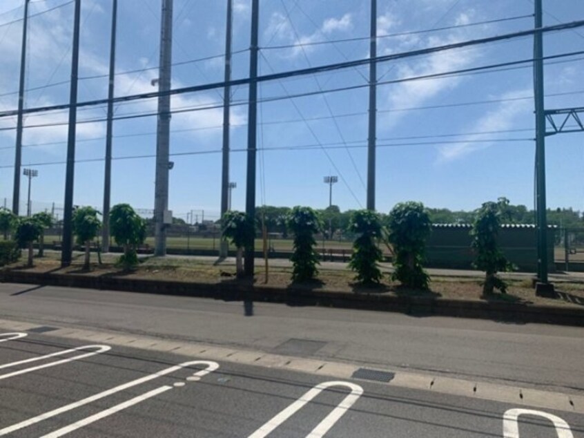 バルコニーからの眺望 ブルーム