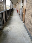 ロビー サニーウェル Ｂ