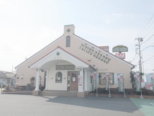 フライングガーデン 若松原店(その他飲食（ファミレスなど）)まで711m ルシール若松原