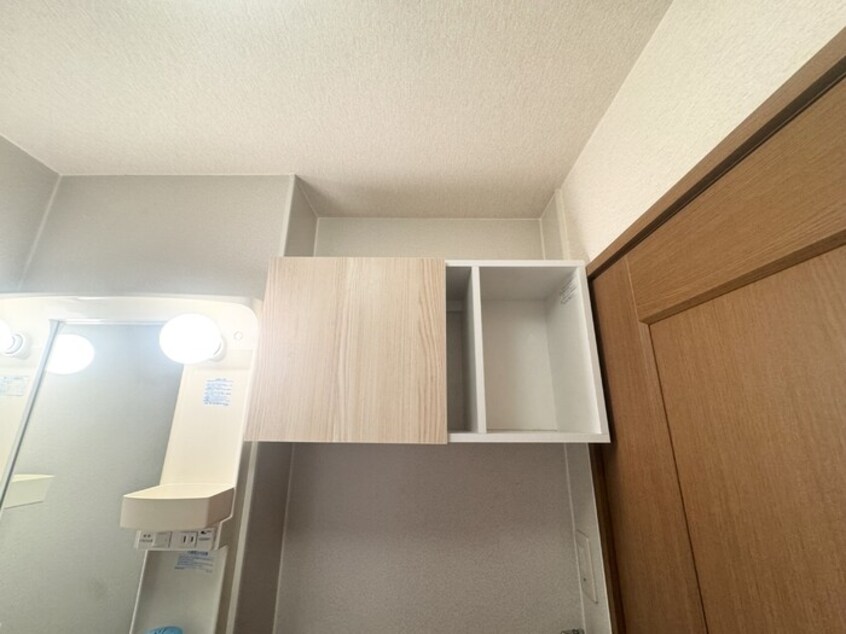 洗面所の収納 アンバサダーヒルズ Ｃ
