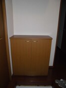 シューズボックス アネシス Ａ