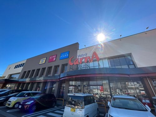 かましんカルナ駅東店(スーパー)まで449m ローランハイツ