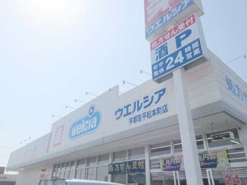ウエルシア宇都宮平松本町店(ドラッグストア)まで389m ベトン　アジュール　ひらまつ