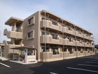 Y＆M ティースマイル