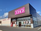 コスモス城東店まで600m パレ・ニューみやの