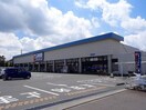 カワチ薬品石井店まで700m フリーデ