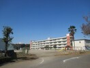 宇都宮市立新田小学校まで300m コーポ新田Ａ