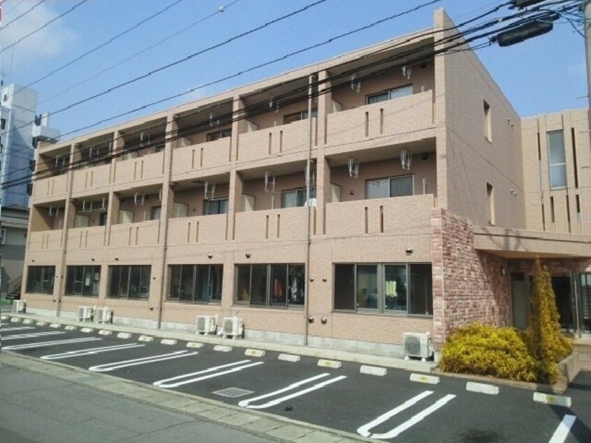  プリムローズ