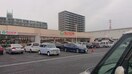 たいらや今泉新町店（903ｍ） ハーベスト・ガーデン Ｂ