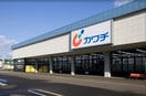 カワチ薬品 鶴田店(ドラッグストア)まで716m メゾン･ド･クレール Ｃ