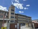 宇都宮市立豊郷南小学校(小学校)まで1288m パレット Ｃ