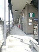 エントランス プルメリア