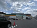 業務スーパー宇都宮簗瀬店（７３６ｍ） クレスト小林