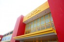 アピタ宇都宮店(ショッピングセンター/アウトレットモール)まで719m ニューコーポ Ⅱ
