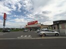 周辺 エステラ