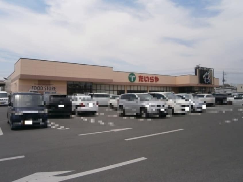 たいらや川田店（580ｍ） スカイプラザ宇梶 Ａ