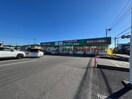 業務スーパー雀宮店（835ｍ） アンバサダーヒルズ Ｃ