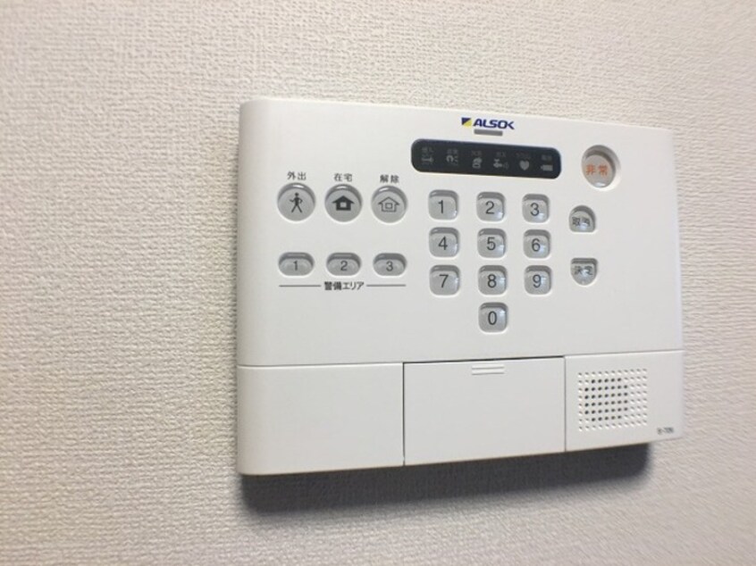 ＡＬＳＯＫ ラベージ
