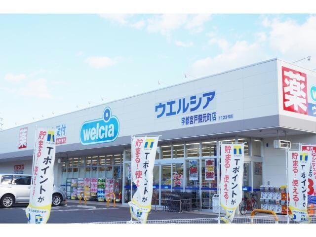 ウエルシア宇都宮戸祭元町店 髙橋ハイツ（星が丘）