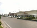 ヨークベニマル簗瀬店(スーパー)まで977m ボヌール鈴木
