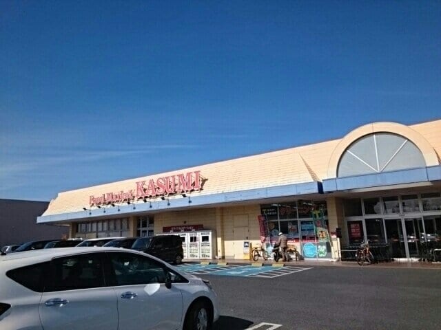 カスミ 上三川店まで1200m サンライト