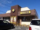 Coco壱番屋まで450m ニューエリールＫＡＴＵ　Ａ