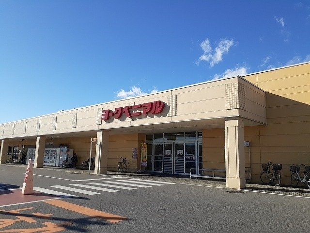 ヨークベニマル 若松原店まで1500m ポテトハイムＤ