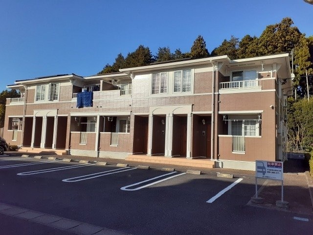  アビシニアンＤ