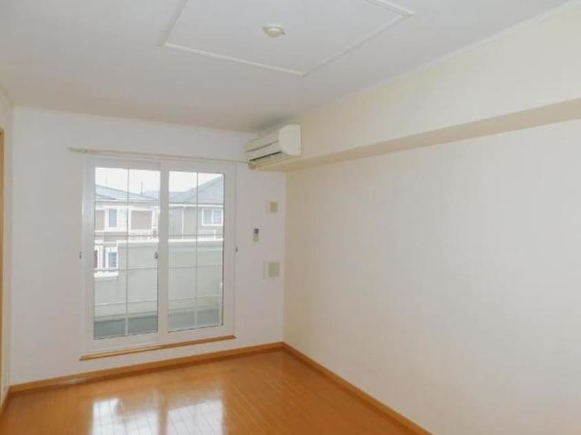  アビシニアンＤ