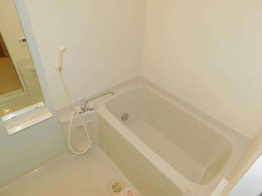  アビシニアンＤ