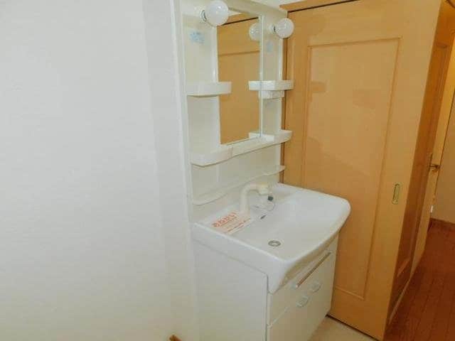  アビシニアンＤ