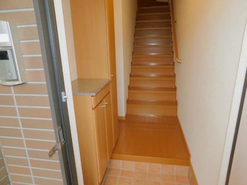  アビシニアンＤ