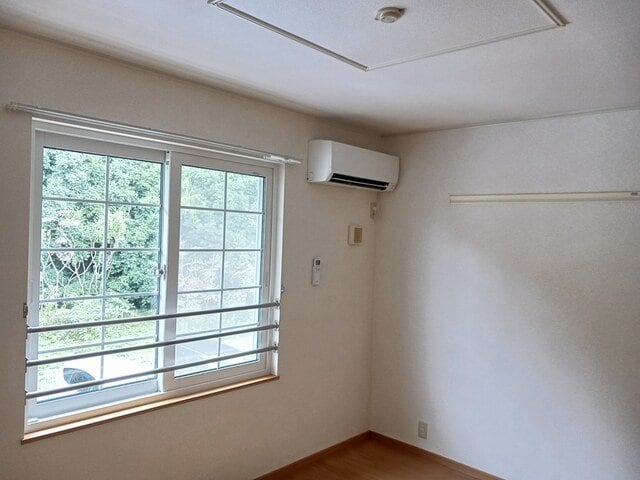  アビシニアンＤ