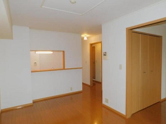  アビシニアンＤ