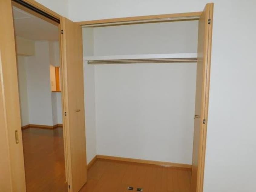  アビシニアンＤ