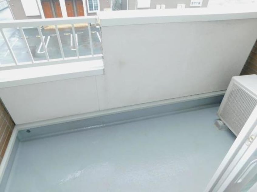  アビシニアンＤ