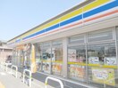 ミニストップ 宇都宮平松本町南店(コンビニ)まで460m ハニーコート Ｄ