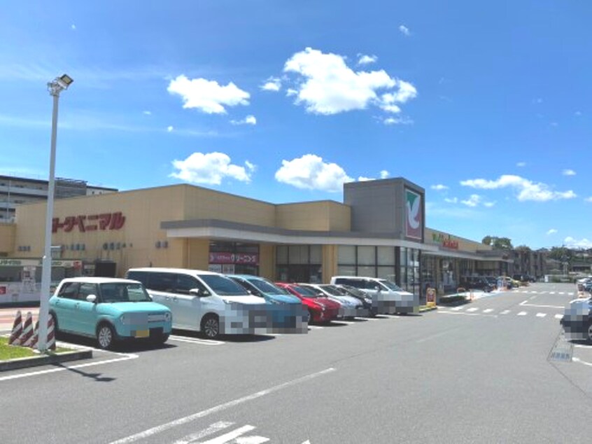 ヨークベニマル戸祭店(スーパー)まで1329m アンソレイエ・オリオン