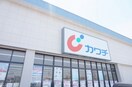 カワチ薬品 針ケ谷店(ドラッグストア)まで508m プレステージみどり野