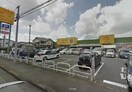 パワーマート新町店(スーパー)まで1053m アートヒルズ一条（法人社宅）