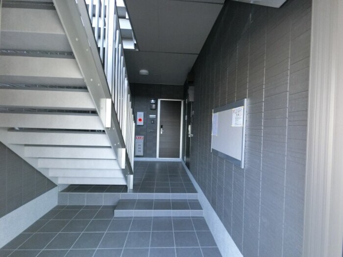 ロビー ドリーム