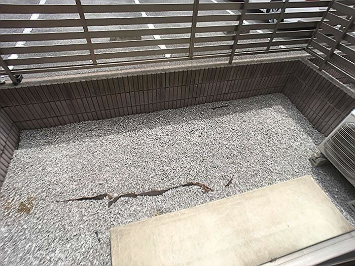 専用庭 リースランドＩＰ Ａ