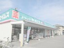 ドラッグセイムス西川田店(ドラッグストア)まで1496m ヴァンクール Ｂ