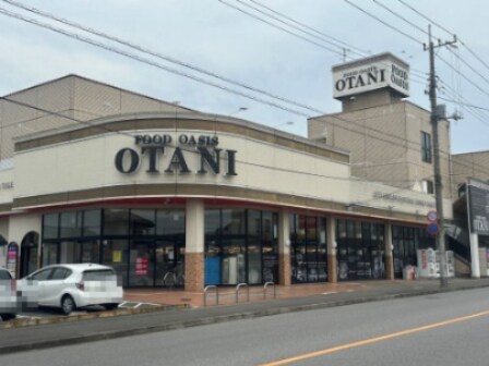 フードオアシスOTANI(オータニ) 岡本店(スーパー)まで574m ロイヤルビュー