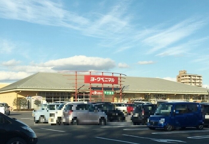 ヨークベニマル泉ヶ丘店（2875ｍ） マロニエＫＩＮＵ