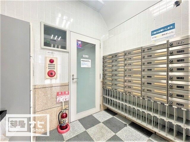  シティホワイト