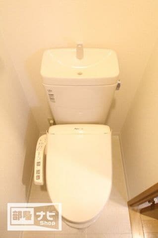  シティホワイト